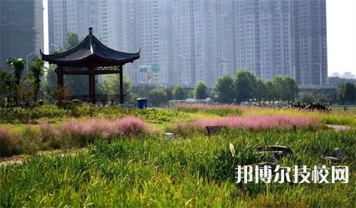 徐州生物工程職業(yè)技術(shù)學(xué)院中專部2022年學(xué)費(fèi)、收費(fèi)多少
