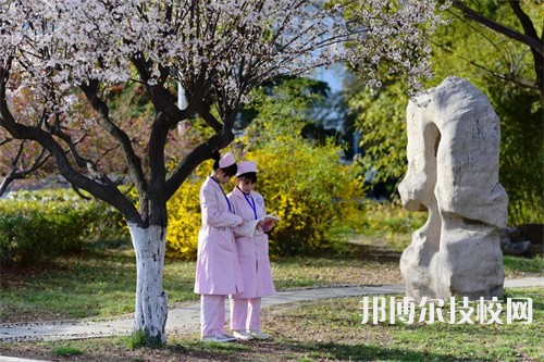 徐州生物工程職業(yè)技術(shù)學(xué)院中專部2022年報名條件、招生要求、招生對象