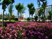蕪湖儀表廠技工學(xué)校2023年招生簡章