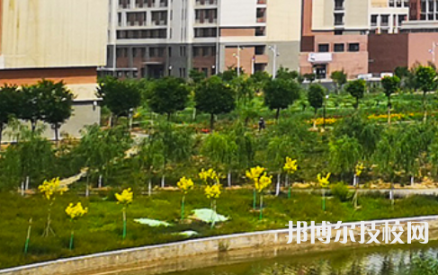 甘肅省商業(yè)學(xué)校2022年招生錄取分?jǐn)?shù)線