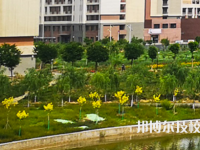 甘肅省商業(yè)學(xué)校2023年招生錄取分?jǐn)?shù)線