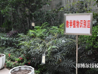 重慶風(fēng)景園林技工學(xué)校2023年報名條件、招生要求、招生對象