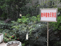 重慶風(fēng)景園林技工學(xué)校2023年招生錄取分?jǐn)?shù)線