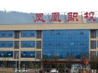 四川達(dá)州鳳凰職業(yè)技術(shù)學(xué)校2023年學(xué)費(fèi)、收費(fèi)多少