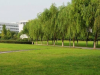 延安衛(wèi)生學(xué)校2023年招生錄取分?jǐn)?shù)線
