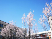 黔南民族幼兒師范高等專科學校(中職部)2023年學費、收費多少