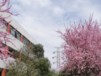 四川省平昌縣職業(yè)中學(xué)2023年招生計(jì)劃