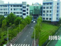 四川武勝職業(yè)中專學校2023年網(wǎng)站網(wǎng)址