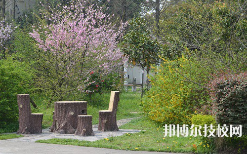 江蘇2022年中專(zhuān)學(xué)校學(xué)什么