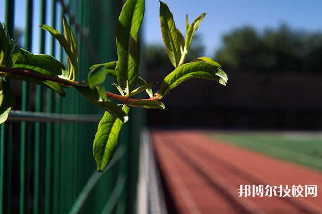 河北藝術(shù)職業(yè)中學(xué)2022年報名條件、招生要求、招生對象