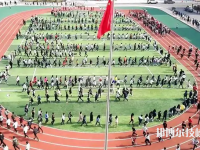 貴州2022年中專能找什么工作
