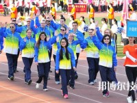 四川外國語大學(xué)成都學(xué)院中高職銜接部2023年招生錄取分?jǐn)?shù)線