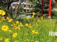 煤炭技師學(xué)院萊蕪校區(qū)怎么樣、好不好