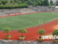 重慶2022年高職是中專嗎