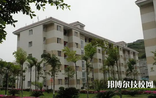 重慶2022年大專和中專是什么意思