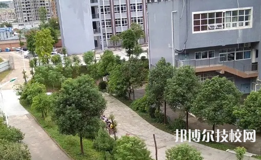 四川2022年上計算機學校有哪些專業(yè)