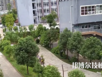 四川2022年上計算機學校有哪些專業(yè)