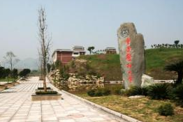 重慶2022年職中學(xué)什么專(zhuān)業(yè)好