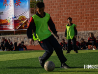 臨潭職業(yè)技術(shù)中學(xué)2023年招生計劃