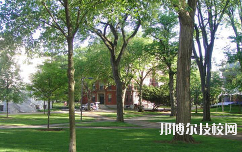 臨潭職業(yè)技術(shù)中學(xué)2023年網(wǎng)站網(wǎng)址
