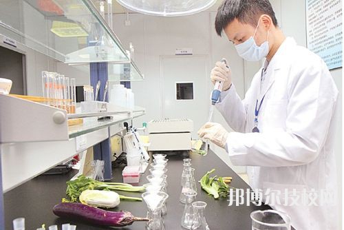 豐城中等專業(yè)學(xué)校2023年有哪些專業(yè)