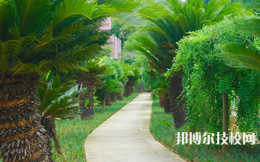衡山縣科技中等專業(yè)學(xué)校2023年網(wǎng)站網(wǎng)址