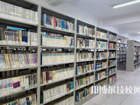 湖南商務職業(yè)技術(shù)學院歷年招生錄取分數(shù)線