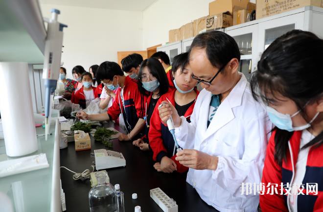 慈利縣職業(yè)中等專業(yè)學校2023年有哪些專業(yè)