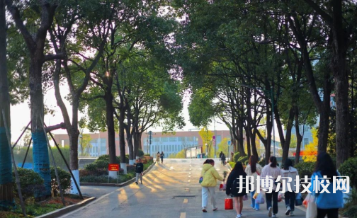 長(zhǎng)沙職業(yè)技術(shù)學(xué)院2023年招生代碼
