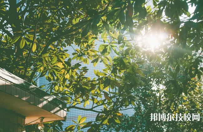 長沙南方職業(yè)學院2023年是幾專