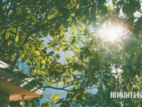 長沙南方職業(yè)學院2023年是幾專