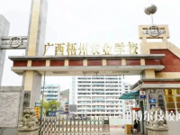 2025年賀州中專學校前十名有哪些
