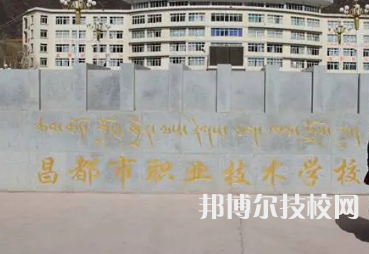 2023年西藏中專學校前十名有哪些