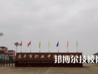 樂平職業(yè)中等專業(yè)學校是中專還是技校（樂平職業(yè)中等專業(yè)學校）