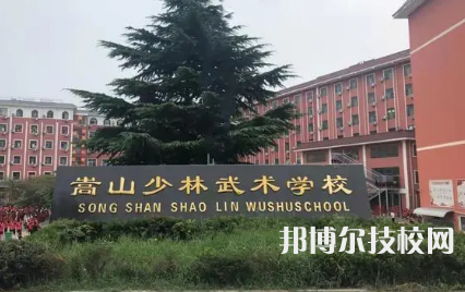 嵩山少林小龍武術(shù)學(xué)校是中專還是大專（嵩山少林小龍武術(shù)學(xué)校）