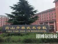 嵩山少林小龍武術學校是中專還是大專（嵩山少林小龍武術學校）