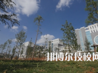 保山技工學(xué)校是中專還是大專（保山技工學(xué)校）