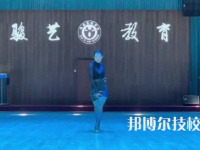 淮南駿藝藝術(shù)學(xué)校是中專還是大專（淮南駿藝藝術(shù)學(xué)校）