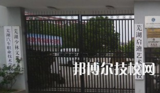 蕪湖同文藝術(shù)學(xué)校是中專還是大專（蕪湖同文藝術(shù)學(xué)校）