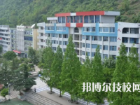 達州市職業(yè)高級中學(xué)是中專還是大專（達州市職業(yè)高級中學(xué)）