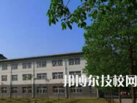 六安市藝術(shù)學(xué)校是不是中專
