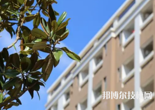 臨武縣職業(yè)中等專業(yè)學(xué)校2023年園林綠化專業(yè)怎么樣