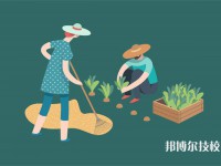 2025年南昌初三畢業(yè)可以上的民辦技工學(xué)校名單匯總