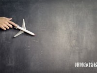金沙第二職業(yè)技術(shù)高級(jí)中學(xué)2025年招生的專(zhuān)業(yè)有哪些