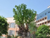 瀘州2025年比較好的公辦中職學(xué)校排名一覽表
