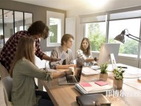 合肥廬江育才學校2025年招生的專業(yè)有哪些